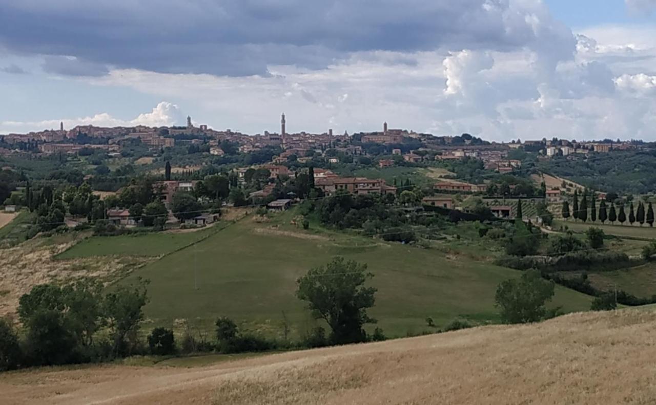 La Casa Nel Poggio 247 Vicino A Siena Leilighet Ponte a Tressa Eksteriør bilde